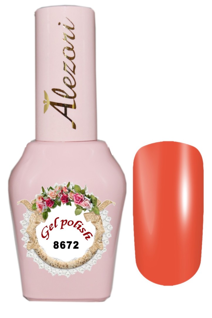 8672sait2