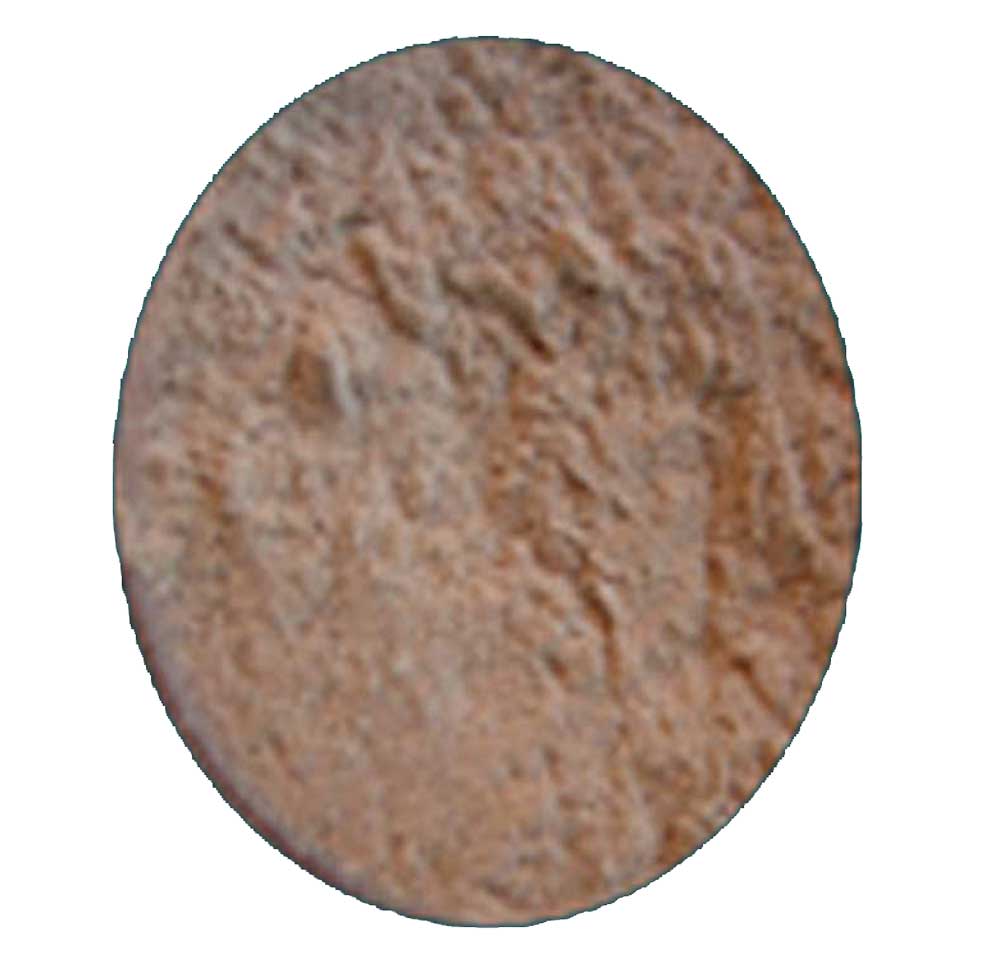 pigments001
